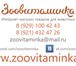 Фотография в Домашние животные Товары для животных Интернет-магазин Зоовитаминка. Предлагает в Санкт-Петербурге 100