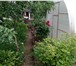 Foto в Недвижимость Сады СРОЧНО! Плодоносящий, ухоженный сад от собственника в Челябинске 720 000