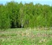 Фото в Недвижимость Земельные участки -МалиновкаПродаются зем.участки в раене д.Муханино в Смоленске 12 000