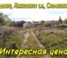 Изображение в Недвижимость Земельные участки Два соседних участка каждый по 15 соток, в Смоленске 330 000