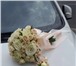 Фотография в Домашние животные Растения Заказ и доставка цветов!Цветы в розницу по в Москве 10