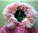 Foto в Одежда и обувь Детская одежда Продам комбинезон розовый с рюкзаком,  рост в Нижнем Новгороде 1 300