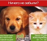 Изображение в Домашние животные Корм для животных www.ЗооСлужба.рф - корма для ваших питомцев в Тольятти 1