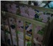 Фотография в Для детей Детская мебель Продается детская кровать.2 боковинки мягкие, в Екатеринбурге 3 500