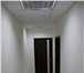 Изображение в Недвижимость Аренда нежилых помещений Сдается в аренду новое офисное помещение в Видном 12 000