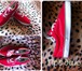 Фотография в Одежда и обувь Мужская обувь кеды Vans : красные, лекгие, размер 43-44, в Астрахани 1 000