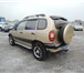 Chevrolet Niva 1,  7 МТ 2005 г, 2337348 Chevrolet Niva фото в Саратове