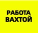 Фото в Работа Вакансии Оплата - смена 3000руб- авансы еженедельные в Москве 90 000