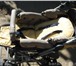 Изображение в Для детей Детские коляски немецкая коляска-трансформер зима-лето фирмы в Краснодаре 2 500