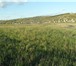 Фото в Недвижимость Земельные участки Продам земельный участок в п. Солонцы, Емельяновского в Красноярске 150 000