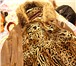 Фото в Одежда и обувь Женская одежда Продам женскую натуральную дубленку в хорошем в Москве 5 000