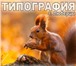 Фотография в Прочее,  разное Разное Типография онлайн с доставкой, цифровая печать, в Москве 100