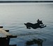 Foto в Домашние животные Вязка собак Кобель русского спаниеля приглашает на вязку.Цвет в Челябинске 1 700