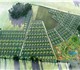 Срочно продается земельный участок Курга