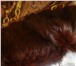 Фото в Одежда и обувь Женская одежда Куртка р-р 48 нат. кож., цвет - коричневый,воротник в Нижнем Тагиле 5 000