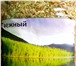 Изображение в Красота и здоровье Товары для здоровья Вкуснейшие чаи из трав и корней Горного-Алтая в Москве 200
