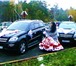 Фото в Развлечения и досуг Организация праздников С большой радостью украшу ваш праздник веселыми в Новосибирске 0