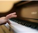Фотография в Образование Школы Наша программа уроков фортепиано в мини-группе в Москве 0