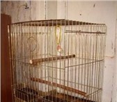 Фотография в Домашние животные Товары для животных Продам клетку для попугая в отличном состоянии. в Москве 1 300