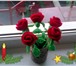 Изображение в Хобби и увлечения Разное вязаные розы и пенетки для малышей в Орле 100