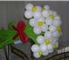 Фотография в Развлечения и досуг Организация праздников Оформление воздушными шарами любой праздник.изготовление в Омске 30