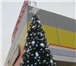 Изображение в Строительство и ремонт Дизайн интерьера Компания Green Trees, российский производитель в Астрахани 10