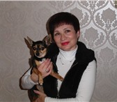 Фотография в Образование Репетиторы Опытный преподаватель (опыт репетиторской в Москве 500