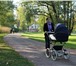 Foto в Для детей Детские коляски Коляска (два в одном - люлька и прогулочный в Санкт-Петербурге 5 000