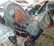 Фотография в Для детей Детские коляски Срочно продаю коляску! В очень хорошем состоянии! в Барнауле 5 000