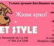 Изображение в Домашние животные Товары для животных Хотите чтобы Ваша собачка была яркой, неповторимой, в Воронеже 100