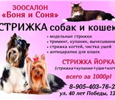 Фото в Домашние животные Услуги для животных Зоосалон "Боня и Соня" приглашает собак и в Краснодаре 500