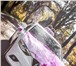 Фото в Авторынок Аренда и прокат авто Самое большое предложение автомобилей и свадебных в Оренбурге 500