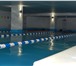Фото в Спорт Спортивные школы и секции Дорогие друзья, идет набор в школу плавания в Зеленоград 650