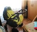 Фотография в Для детей Детские коляски коляска зиппи туттис 2 в 1. в Братске 15 000