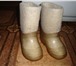 Изображение в Одежда и обувь Детская обувь продам валенки в хорошем состоянии 24 размер в Брянске 350