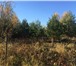 Foto в Недвижимость Земельные участки Продаётся лесной участок 6 соток без построек, в Чехов-6 1 450 000