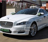 Foto в Авторынок Такси Аренда автомобиля Jaguar XJL с профессиональным в Челябинске 1 600