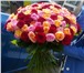 Изображение в Домашние животные Растения Роскошные букеты из голландских роз от лучших в Красноярске 1 485