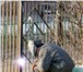 Фото в Строительство и ремонт Другие строительные услуги Выполню сварочные работы любой сложности, в Краснодаре 250