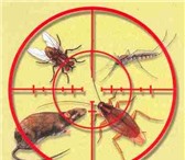 Foto в Прочее,  разное Разное Компания ООО Альфадез предоставляет услуги в Саратове 0