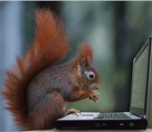 Фотография в Работа Вакансии Требуются студенты на неполный рабочий день, в Перми 19 000