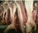 Фото в Прочее,  разное Разное Предлагаем свинину, выращенную на свинокомплексе, в Москве 0