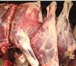 Фото в Прочее,  разное Разное Мясо говядина в тушах-полутушах/четвертях в Перми 195