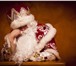 Фотография в Развлечения и досуг Организация праздников Вы хотите, чтобы Дед Мороз со Снегурочкой в Краснодаре 2 000