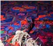Фото в Мебель и интерьер Ковры, ковровые покрытия отличные ковры от ведущих производителей в Краснодаре 0
