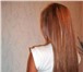 Фотография в Красота и здоровье Разное Волосы в срезах натуральные недорогоПродаём в Москве 18 000