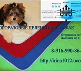 Foto в Домашние животные Товары для животных многоразовые впитывающие пеленки для собак в Москве 290