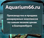 Изображение в Домашние животные Рыбки Аквариумы и аквариумные комплексы в Екатеринбурге в Екатеринбурге 7 000