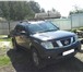 Продам 192716 Nissan Navara фото в Челябинске