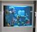 Фото в Домашние животные Рыбки Аквариумные комплексы из акрилового стекла в Перми 5 000